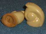 Snail shakers glazed ivory
